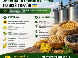 Закупка зернових, олійних, бобових. База, некондиція