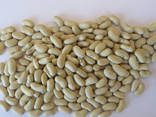 Квасоля, гарбузове насіння, шипшина, сухофрукти куплю - фото 2