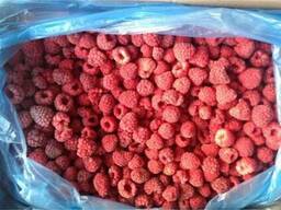 Закуповуємо заморожену малину