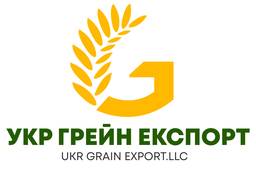 Закуповуємо Зернові на постійній основі (спельта (лущена або нелущена)