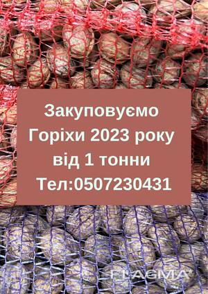 Закуповуємо горіхи 2023 ціна залежить від якості