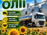 Закуповуємо нерафіновану соняшникову олію - фото 1