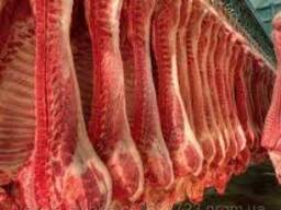 Закуповуємо свинину п/тушу охолоджену оптом від 5 тонн