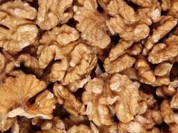 Закуповую ядро грецького горіха усіх фракцій.