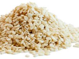 Закупувуєм кунжут обсмажений/ Куплю семена кунжута жареные.