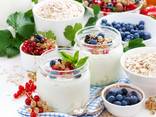 Закваски для йогурта, молочных продуктов, йогуртів, молочних продуктів - фото 1