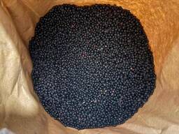 Заморожена бузина