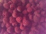 Замороженная малина (Frozen raspberries)