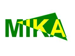 Замороженная слива в половинках