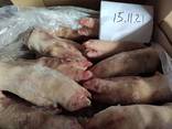 Замороженные Свиные Ноги / Frozen Pork Feet - фото 5