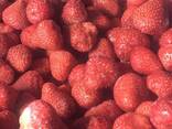 Заморозка ягоди і фруктів - фото 1