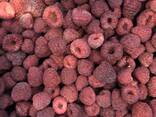 Заморозка ягоди і фруктів - фото 4