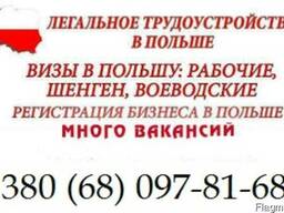 Заполнение анкеты в визовый центр. Анкета на польскую визу