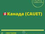 Заповнення заявки для відкриття візи в Польщу, Канаду - фото 1