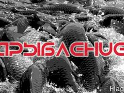 Зарыбление (всесезонное) водоёмов и прудов