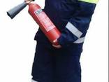 Защитная одежда пожарного Феникс - Стандарт - фото 1