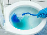 Засіб для чищення унітазів (туалетний каченя) Sanitary Sanitizer 750 мл - фото 1