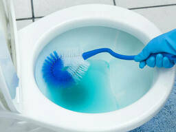 Засіб для чищення унітазів (туалетний каченя) Sanitary Sanitizer 750 мл