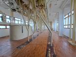 Завод - борошномельний млин 250 тонн за 24 години - фото 2