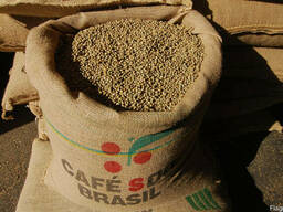 Зеленый кофе (необжаренный) Arabica Brazil Santos scr. 17/18
