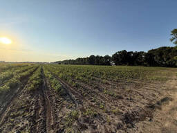 Земельна ділянка, м.Вінниця р-н Тяжилів, Костел.