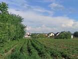 Земельна ділянка вул. Українська с. Агрономічне - фото 3