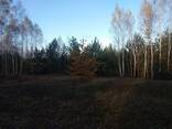 Земельный участок под садоводчество и постройку дома в с. , Дружня - фото 15