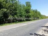Земельный участок в сосновом лесу - фото 1