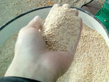Зернодробилка Donny-3800 (3.8кВт) (Для переработки пшеницы, ячменя, кукурузы ) - фото 2