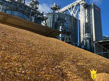 Зерносушарки Unia Grains - фото 2