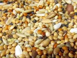 Зерновідходи