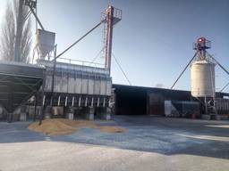Зерновой склад закупает зерно и предоставляет услуги осушки, очистки, транспортировки и сб