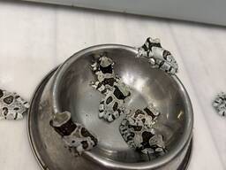 Жабовидна квакша, деревна жабка арлекін