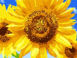 Жирні кислоти рослинних