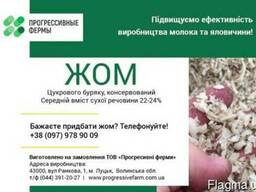 ЖОМ цукрового буряку, консервований