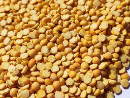 Жовтий колотий горох, сорт А