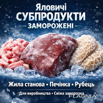 Жила станова яловича заморожена, печінка, легені, рубець