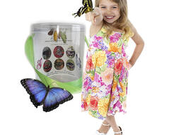 Живі метелики - продаж готового бізнесу!