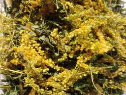 Золотарник канадский сушеный измельченный