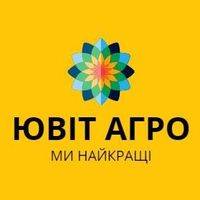 Павлюк Ростислав