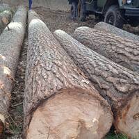 Серпутько Сергій Васильович