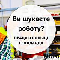 Красота Ксения Владимировна