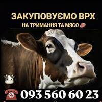 Закупівля Врх
