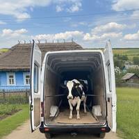 Шаблій Іван