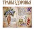 ТравыЗдоровья, ФОП