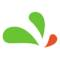 IconDesignLAB, ЧП
