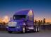 Cиницина, ЧП