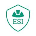 ES INTERNATIONAL LTD, ООО