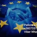 Work_Europa, ФЛП