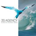 3S Agency, ЧП